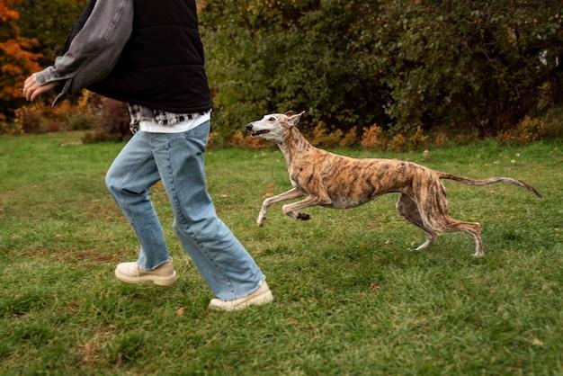 o que significa sonhar com cachorro correndo atrás de você