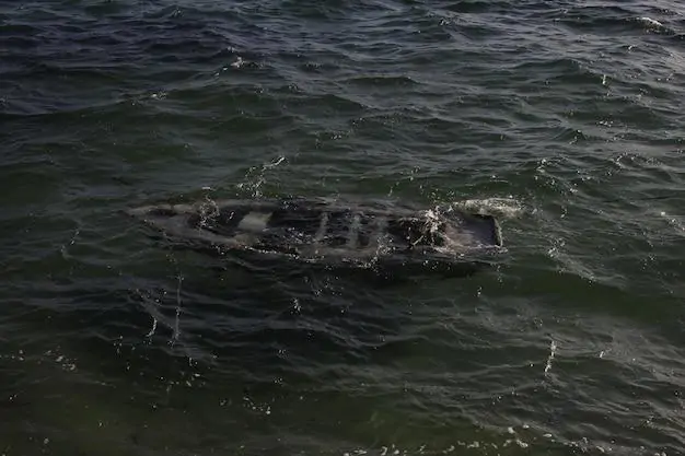 o que significa sonhar com barco afundando